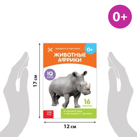 Books Set “Doman Cards. Animals of the continents ”, 6 pcs. 20 p.-2