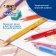 Pencils of 12 colors, children's, thickened, three -sided, bic kids evolution triangle, plastic, premium, cardboard packaging