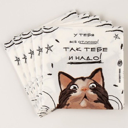 Paper napkins 25*25cm "cats" (set 20 pcs)-2