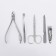 Manicure set, 5 items, in case, black color