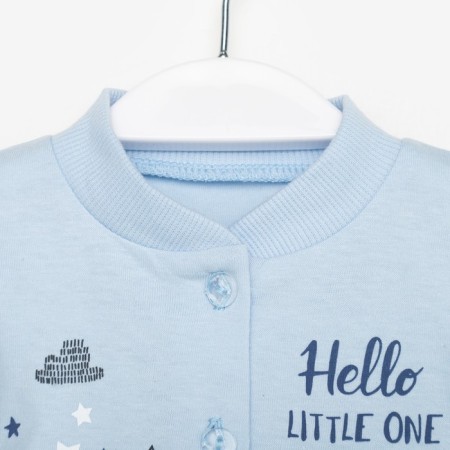 Bloodboard nursery, blue color, height 56 ​​cm-1