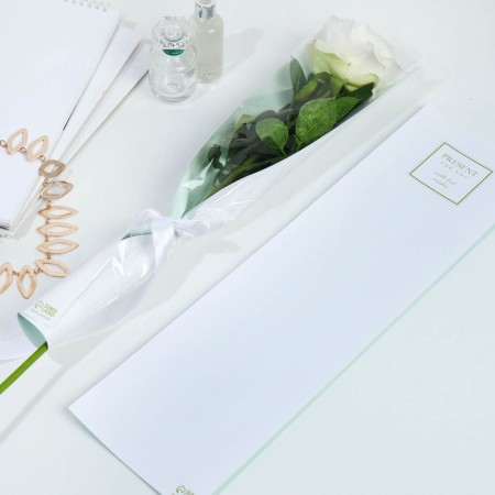 Pressent for You liner packet-1