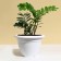 Flower pot, d = 35 cm, 12 l, plastic, white
