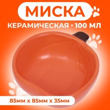 Ceramic bowl for rodents 