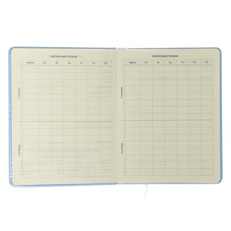 Universal diary for grade 1-11 "Why?", Firm cover, artificial leather, with foam, lies, 80 g/m2-4