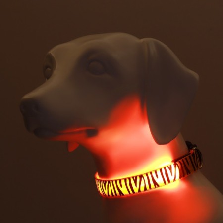 Collar with backlight tiger 3 glow modes size XL, Osh 60-70 x 2.5 cm orange-1