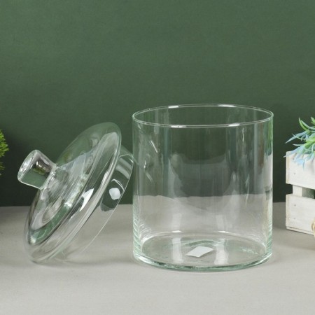 VAZ "Pipe 146" Paderborn with a small lid D-14CM, H-15CM (with a lid H-20CM) V-25L Transparent 113-1