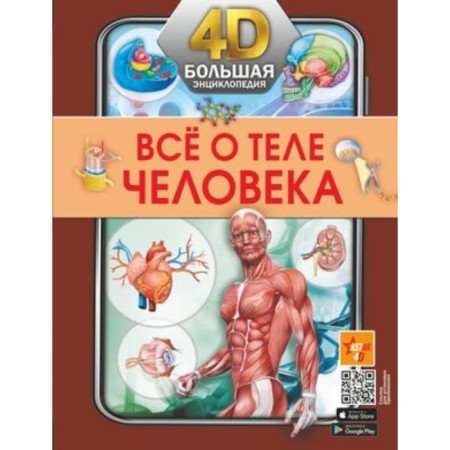 All about the human body