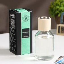 Filler for diffuser, 100ml, bergamot