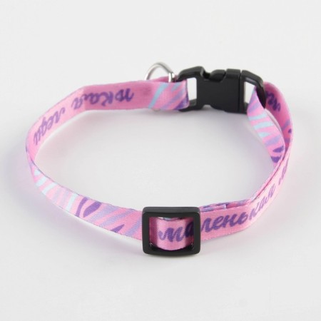 A collar for dogs and cats with Fasteks "Little Lady", 30x1 cm-2
