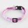 A collar for dogs and cats with Fasteks "Little Lady", 30x1 cm