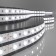 Elektrostandard LED strip, IP20, 5050, 60LED/m, 24V, glow of daytime white