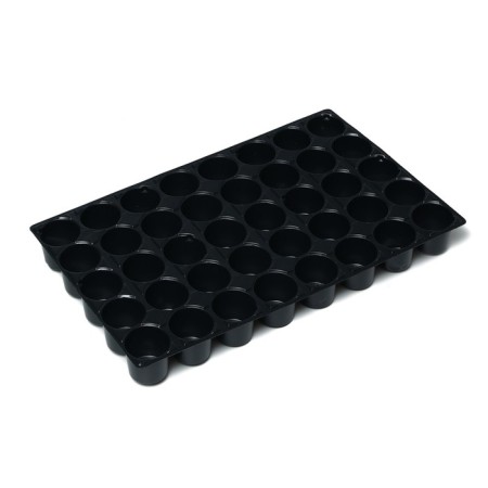 Mini-Pirate for seedlings, 57 × 36 × 13.5 cm, 1 insert, 40 cells, Greengo-3