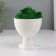 Concrete Kashpo "Mr. Green" hides with moss white 8.3x10x10 cm (moss green stabilizers)
