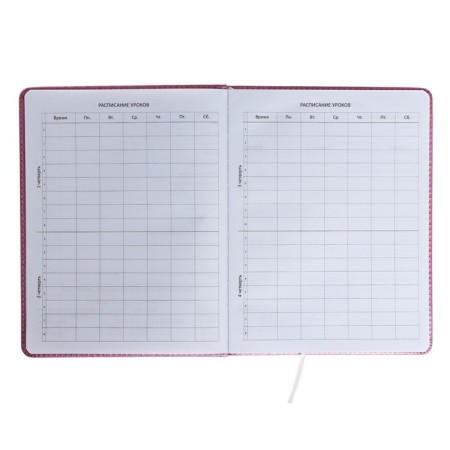 Universal diary for Butterfly 1-11 grade, hard cover, artificial leather, foam rubber, liesse, 80 g/m2-4