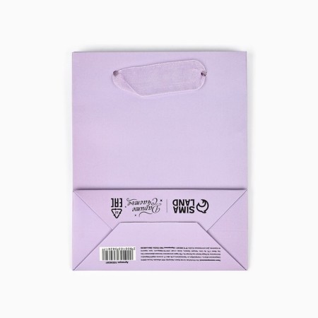 Laminated vertical packet "Happy Birthday to you", s 12 × 15 × 5.5 cm-4