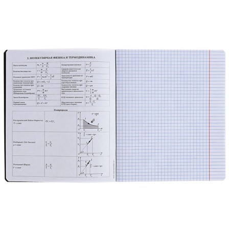 Subject notebook, 48 sheets, cage, physics, erichkrause "Inscription", cardboard cover of Twin-lax, block offset 100%, information block-4