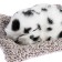Toy on a car panel, a dog on a pillow, white and black color