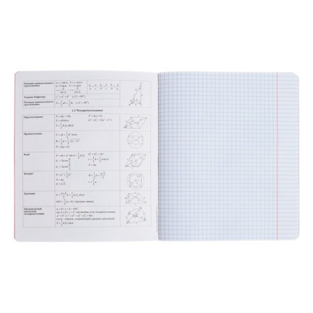 Subject notebook, 48 sheets, cell, geometry, erichkrause "manga", cardboard cover of twin-lax, unit offset white 100%, information block-3