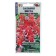 Flower seeds of Salvia Vista "red with white", 10 pcs