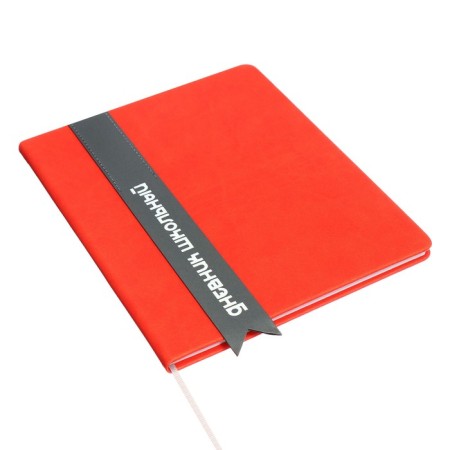 Universal diary for grades 1-11 Lenta, solid cover of artificial leather, applique, silkography, liesse, 48 sheets, red-1
