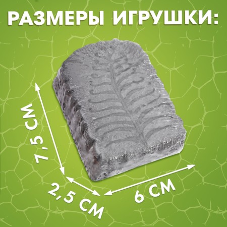 Excavation Set "Excess a dinosaur"-5