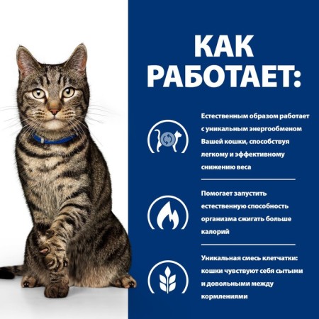 Hill Prescription Diet Metabolic for cats, reduction and weight control, chicken, 85g-2