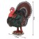 Figure "On the farm: turkey"