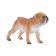 Figure Konik "English bulldog"
