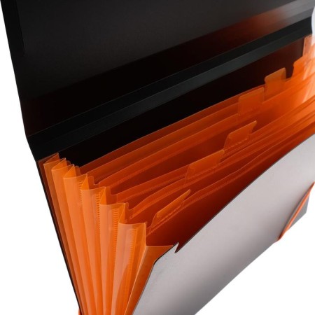 Folder-carte, A4, 6 departments, 700 μm, Erichkrause "Matt Accent", on the elastic band, embossing "sand", black, mix-2