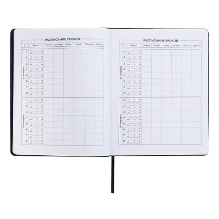 School diary for grades 1-11 “Owl Girl”, hard cover, artificial leather, “soft-tach”, lies, 48 ​​sheets, universal cheat sheet, block 80g/m2-5
