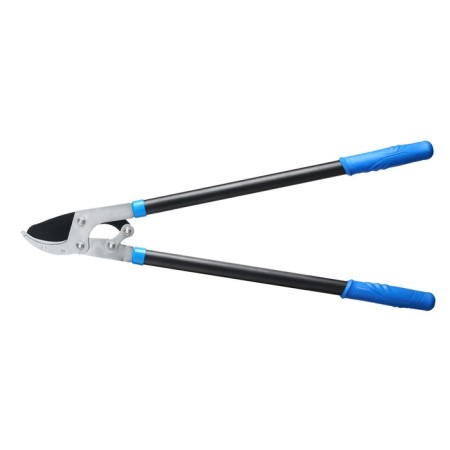 Badkorez, professional, 31 "(79 cm), mix, Greengo-12