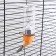 Drill for rodents, 80 ml, fastening-spring, orange