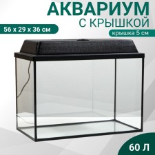 Aquarium 