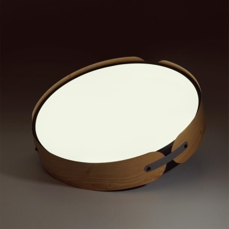 Lamp Coraggio LED 65W 3000-6000K D450 IP20, with PDU-2