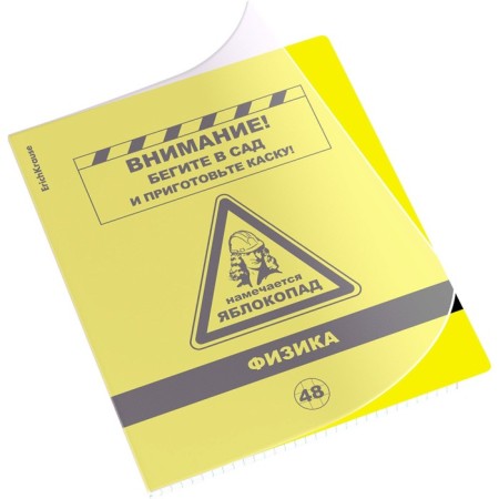 Subject notebook, 48 sheets, cage, physics, erichkrause "BE Informed", plastic cover silk-screen cover, Belly Beliac block 100%, info block