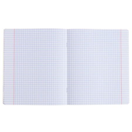 Subject notebook, 48 sheets, cage, geometry, Erichkrause "BENFORMED", plastic cover silk-screen cover, Bellar Beliges 100%, info block-4