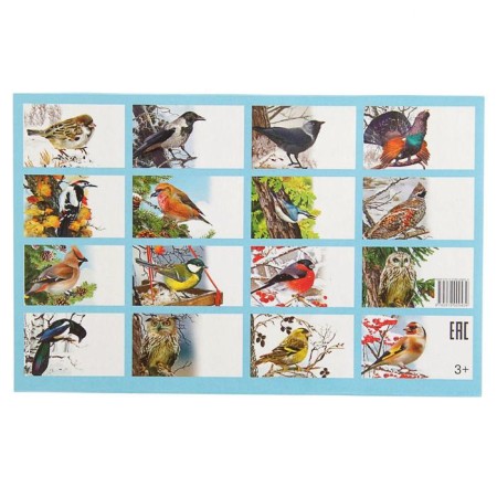 Training cards "Wintering birds of Russia", 16 cards-2