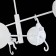 Ceiling EVOLUCE lamp. Sle115102-04. Tenato. 4x60 watts, E14, 71x71x50 cm, white color