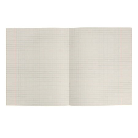 A notebook "Brick" 40 sheets in the cell "Algebra", paper cover, block No. 2-1