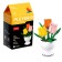 Designer "Flowers in a pot", 6 species, mix