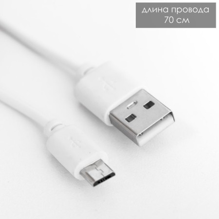 Lamp "Dinosaurus" LED 3W USB battery white-green 8x10x30 cm Risalux-11