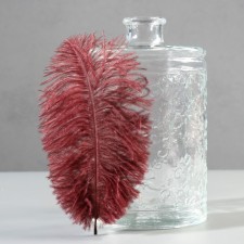 Feather of ostrich 15-20 cm, brown