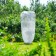 Case for plants, trapezoid on laces, 150 × 90 cm, spanbond with a UV stabilizer, density 60 g/m²