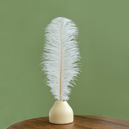 Feather for decor, length: from 45 to 60 cm, white color-3