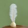Feather for decor, length: from 45 to 60 cm, white color