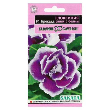 Gloxinia flowers "Blue Blue with White", F1, 4 pcs.