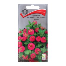 Tsinnia flowers stunted rumba pink, 0.1 gr