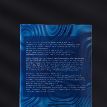 Men's toilet water Homme Ocean, 100 ml (based on Acqua Di Gio (G.armani)-2