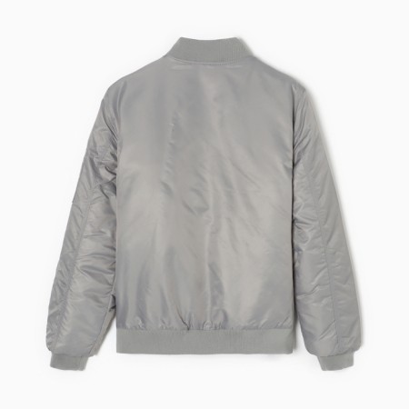 Male bomber at the MIST zipper, size 52, gray-8